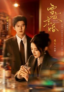 雪夜京婚封面图