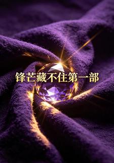 鋒芒藏不住第一部
