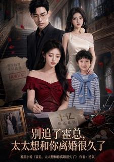 别追了霍总，太太想和你离婚很久了
