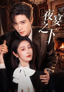 夜宴之下封面图