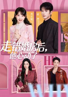 走错婚房后他心动了封面图