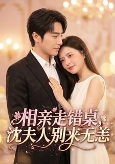 相亲走错桌沈夫人别来无恙封面图