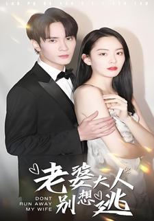老婆大人别想逃封面图