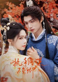 执手同谋不负卿封面图