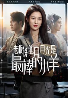 老板说他白月光是最棒的小羊封面图