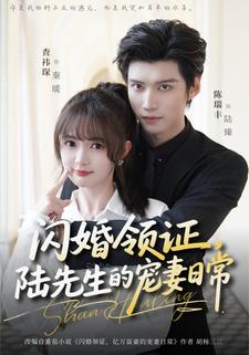 闪婚领证陆先生的宠妻日常封面图
